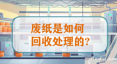 《废纸是如何回收处理的》二维动画